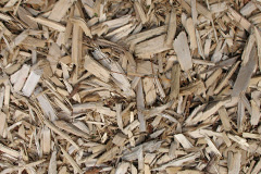 biomass boilers Midelney